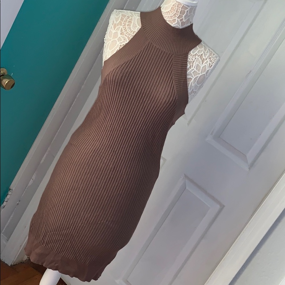 Papaya Mocha Bodycon Sleeveless Dress